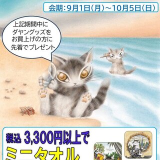 【中古美品】KATZE ツアーパンフ 3冊まとめ売り 中山美穂 コンサートパンフレット '88 Catch - メルカリ